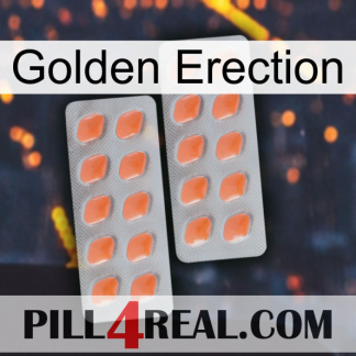 Golden Erection 27